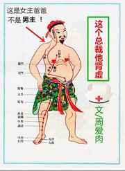 ����ܲ�������