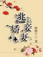 逃妾娇妻 逃妾娇妻