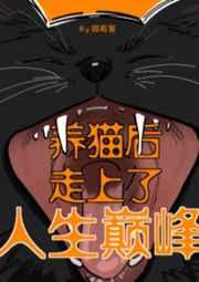 养猫后走上了人生巅峰 养猫后走上了人生巅峰