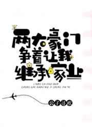 两大豪门争着让我继承家业 两大豪门争着让我继承家业