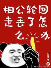 相公轮回走丢了怎么办 相公轮回走丢了怎么办