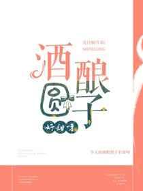 酒酿圆子好甜呀 酒酿圆子好甜呀