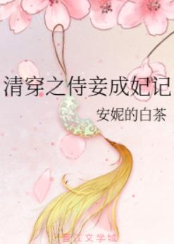 清穿之侍妾成妃记 清穿之侍妾成妃记