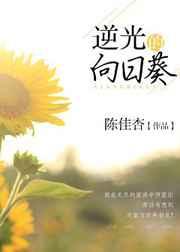 逆光的向日葵 逆光的向日葵