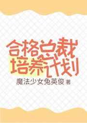 合格总裁培养计划 合格总裁培养计划
