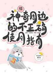 神奇周边的不正确使用指南 神奇周边的不正确使用指南