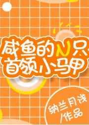咸鱼的N只首领小马甲 咸鱼的N只首领小马甲