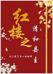 红楼之清和县主 红楼之清和县主