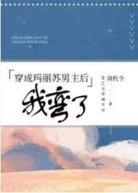 穿成玛丽苏文男主后我弯了 穿成玛丽苏文男主后我弯了