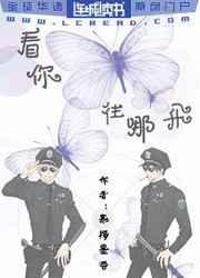 看你往哪飞 看你往哪飞