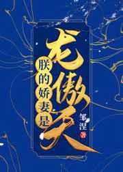 朕的娇妻是龙傲天(女穿男) 朕的娇妻是龙傲天(女穿男)