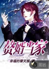 赘婿当家 赘婿当家
