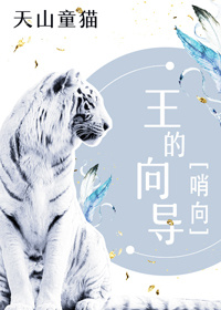 王的向导 王的向导