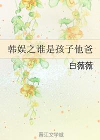 韩娱之谁是孩子他爸 韩娱之谁是孩子他爸