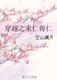 穿越之求仁得仁 穿越之求仁得仁