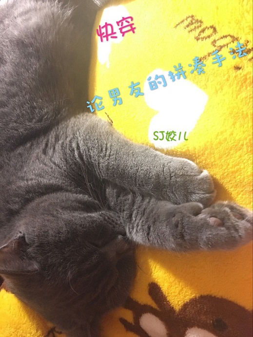 快穿-论男友的拼凑手法 快穿-论男友的拼凑手法