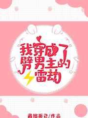 我穿成了劈男主的雷劫 我穿成了劈男主的雷劫