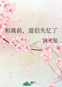 ����ǰ������ʧ����