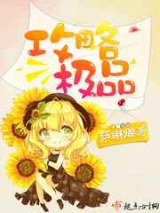 攻略极品 攻略极品