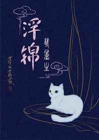 浮锦(双重生) 浮锦(双重生)