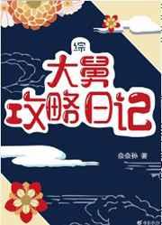 大舅攻略日记 大舅攻略日记