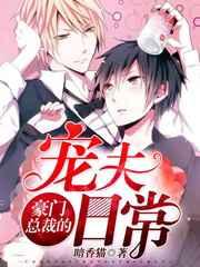 豪门总裁的宠夫日常 豪门总裁的宠夫日常