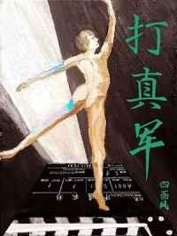 打真军 打真军