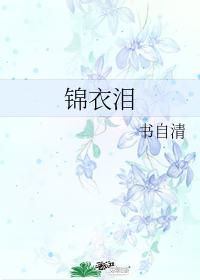 锦衣泪 锦衣泪