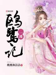 一滩鸥鹭记 一滩鸥鹭记