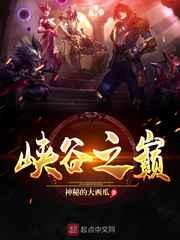 峡谷之巅 峡谷之巅