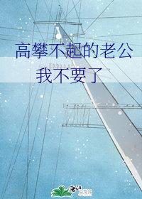 高攀不起的老公,我不要了