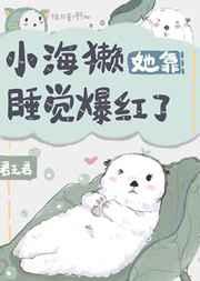 小海獭她靠睡觉爆红了 小海獭她靠睡觉爆红了