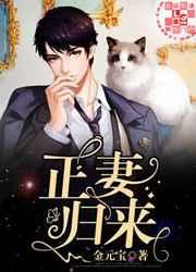 正妻归来 正妻归来