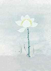 穿成美强惨的白莲师尊 穿成美强惨的白莲师尊