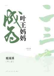 成为叶王妈妈的二三事 成为叶王妈妈的二三事