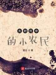 大时代中的小农民 大时代中的小农民