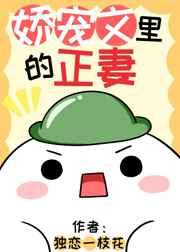 娇宠文里的正妻 娇宠文里的正妻