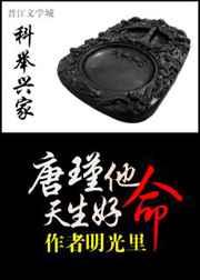 科举兴家:唐瑾他天生好命 科举兴家:唐瑾他天生好命