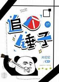 追个锤子 追个锤子