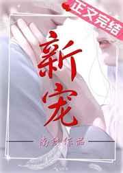 新宠 新宠