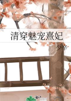 清穿魅宠熹妃 清穿魅宠熹妃