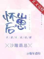 怀崽后,沙雕霸总非要和我结婚 怀崽后,沙雕霸总非要和我结婚