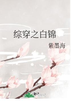 综穿之白锦 综穿之白锦