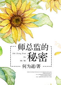 师总监的秘密 师总监的秘密