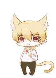 金闪闪养成指南 金闪闪养成指南