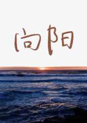 向阳 向阳