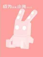 成为乐高小兔 成为乐高小兔