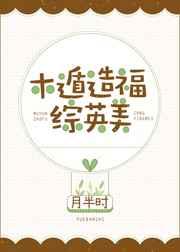 木遁造福综英美 木遁造福综英美