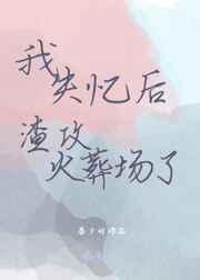 我失忆后渣攻火葬场了 我失忆后渣攻火葬场了