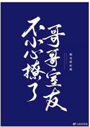 不小心撩了哥哥的室友 不小心撩了哥哥的室友